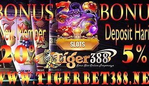 Mariobola Judi Slot Online Indonesia Login