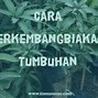 Tanaman Yang Berkembang Biak Dengan Geragih